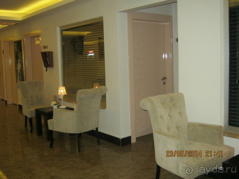 фото Бамбука