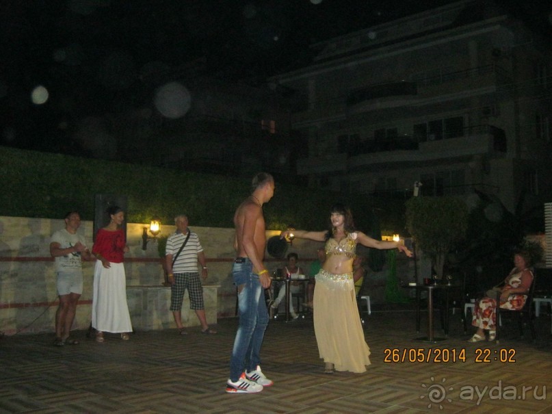 фото Бамбука