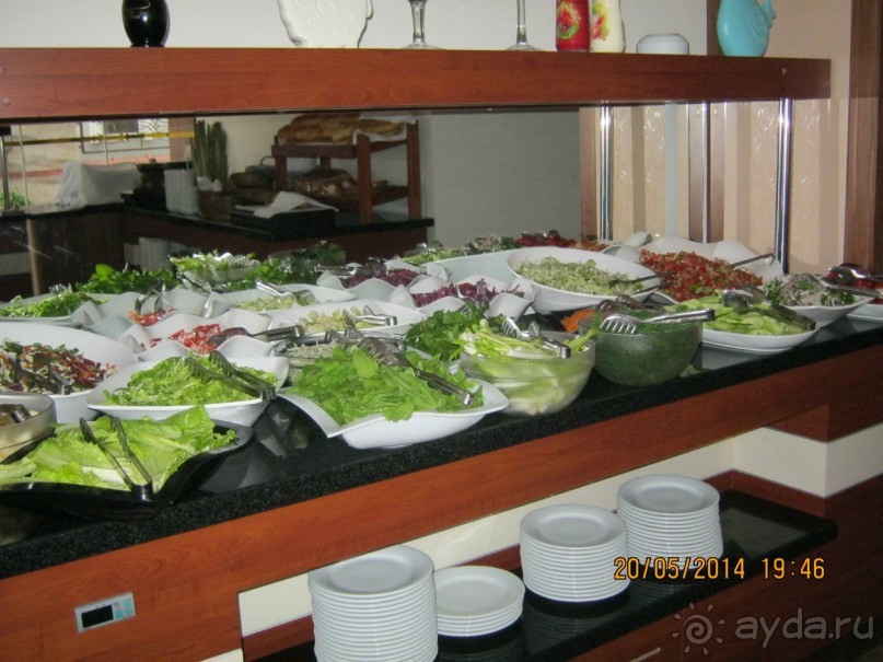 фото Бамбука