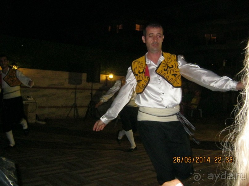 фото Бамбука