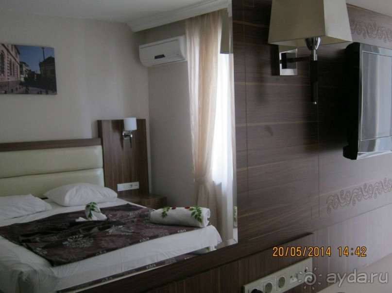 фото Бамбука