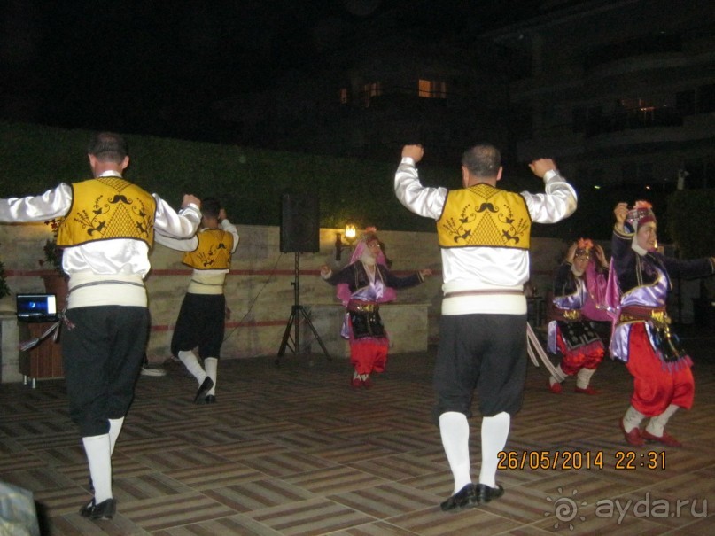 фото Бамбука