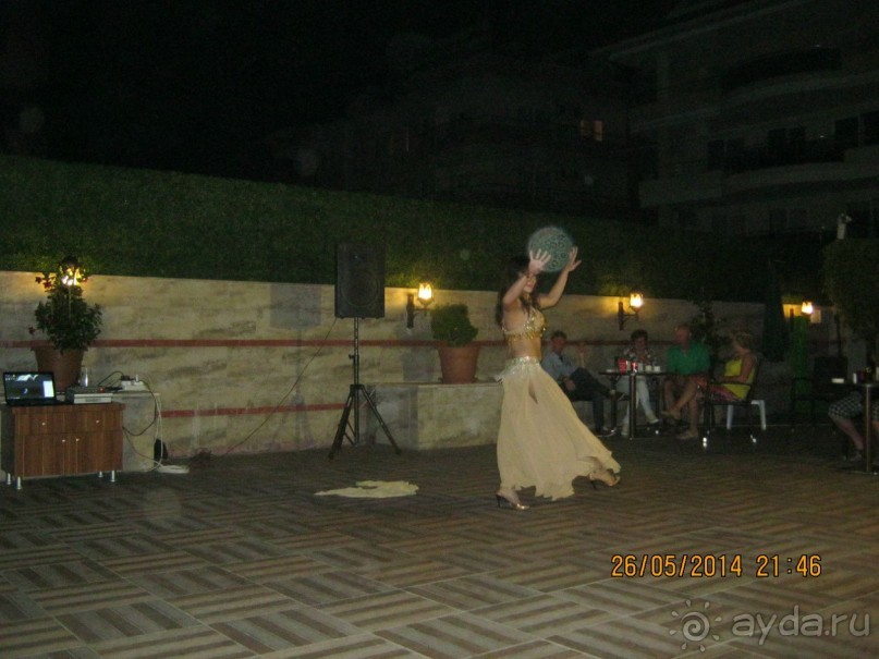 фото Бамбука