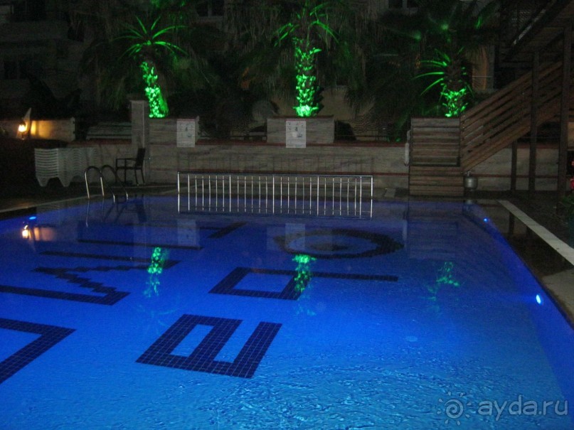 фото Бамбука