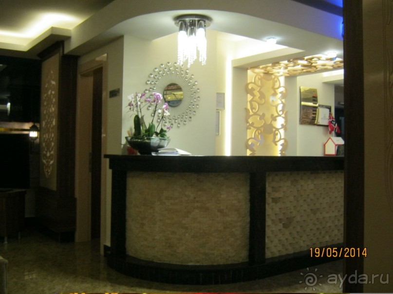 фото Бамбука