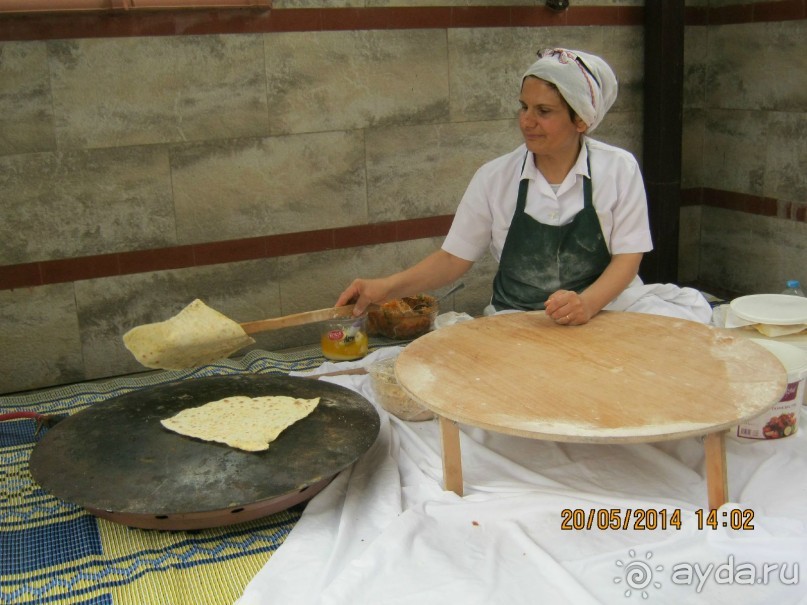 фото Бамбука