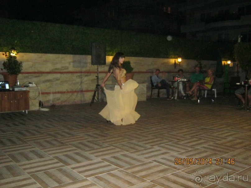 фото Бамбука