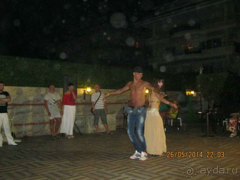 фото Бамбука