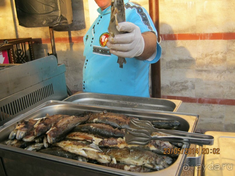 фото Бамбука