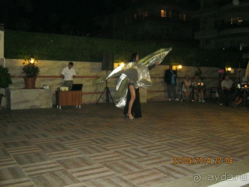 фото Бамбука