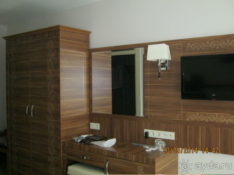 фото Бамбука