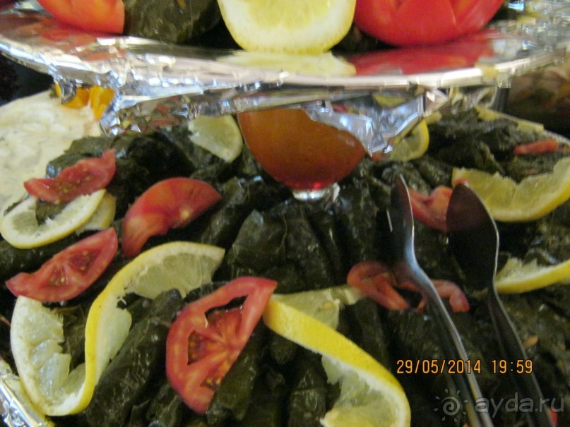 фото Бамбука