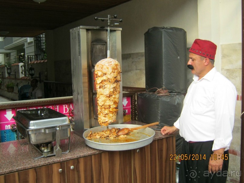 фото Бамбука