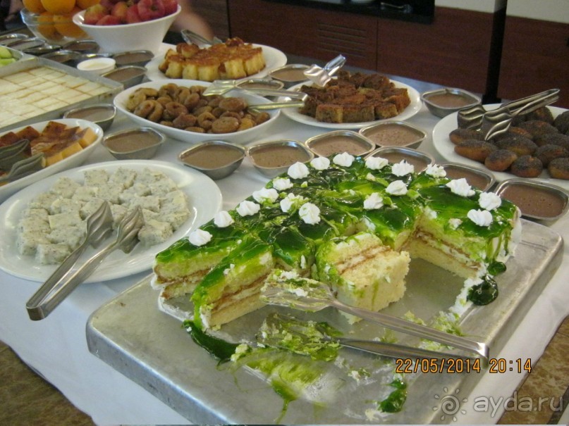 фото Бамбука