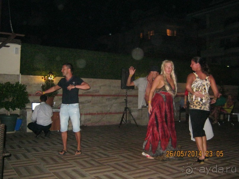 фото Бамбука