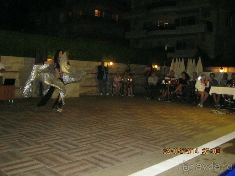 фото Бамбука