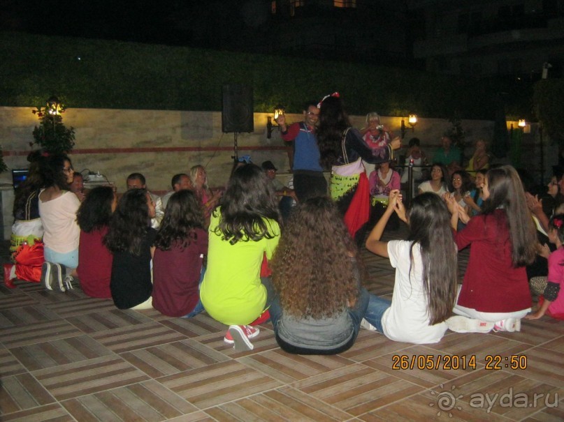 фото Бамбука