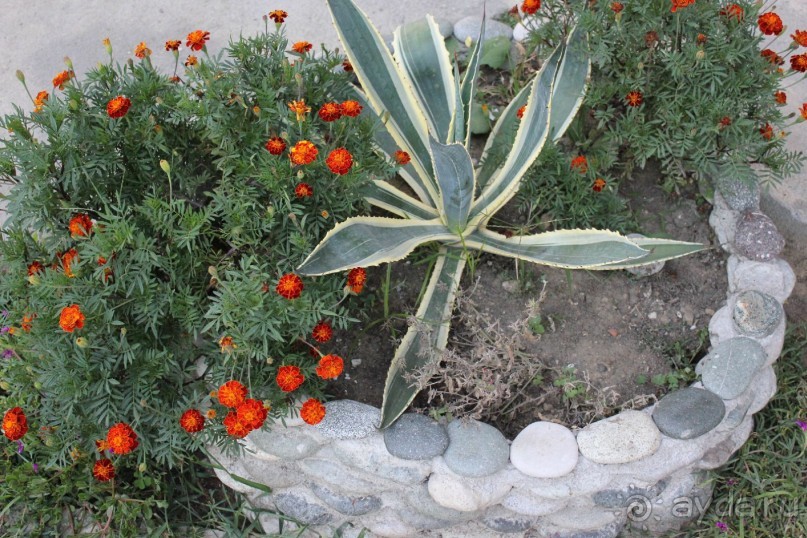 фото частный сектор