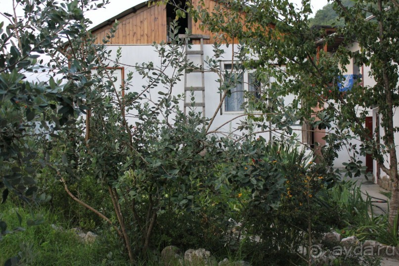 фото частный сектор