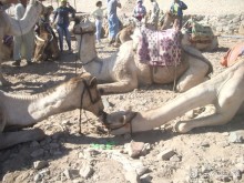 Милый уютный отель)