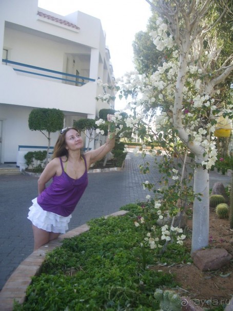 Милый уютный отель)