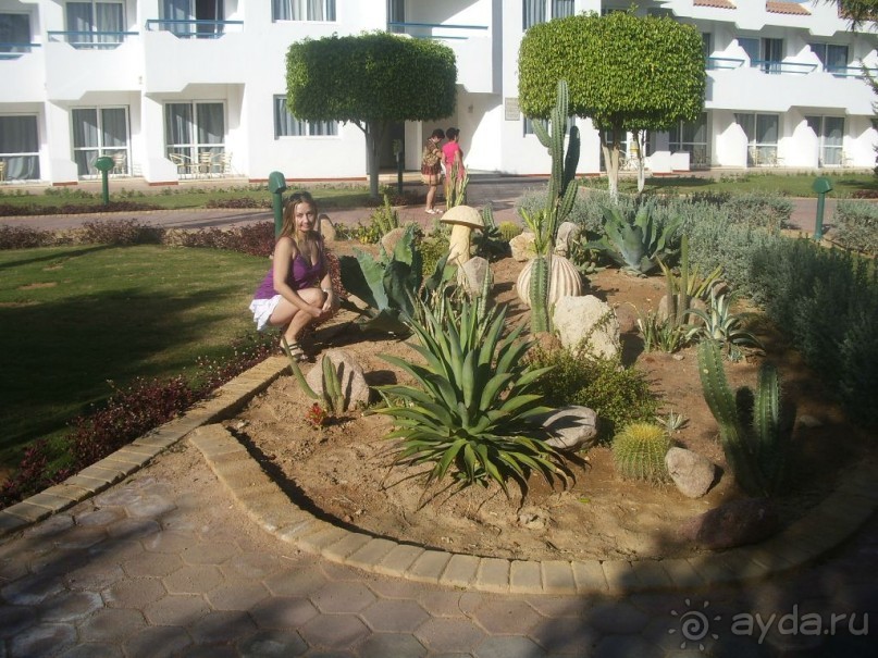 Милый уютный отель)