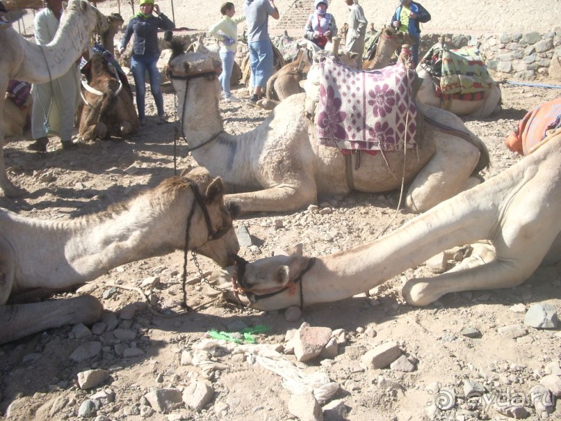 Милый уютный отель)