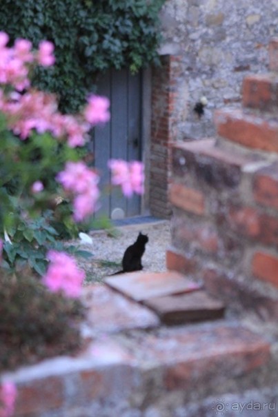 Домашний уют в Тоскане