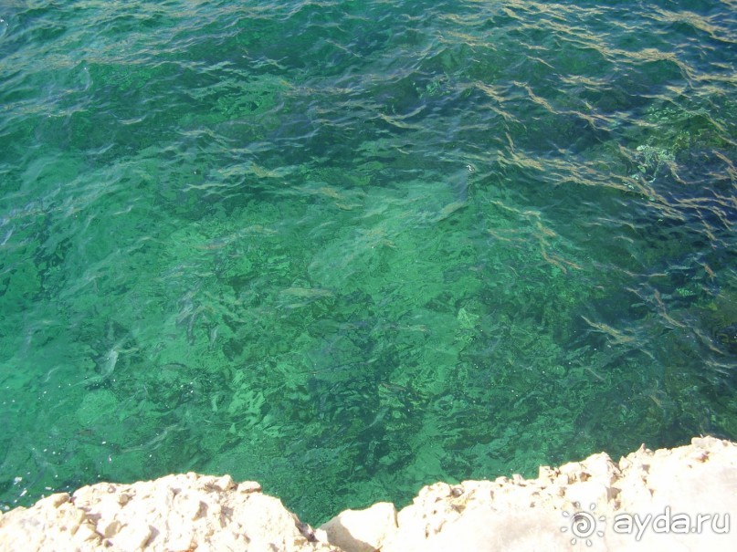 Отель Sliema Chalet 3* абсолютно удобное расположение отеля