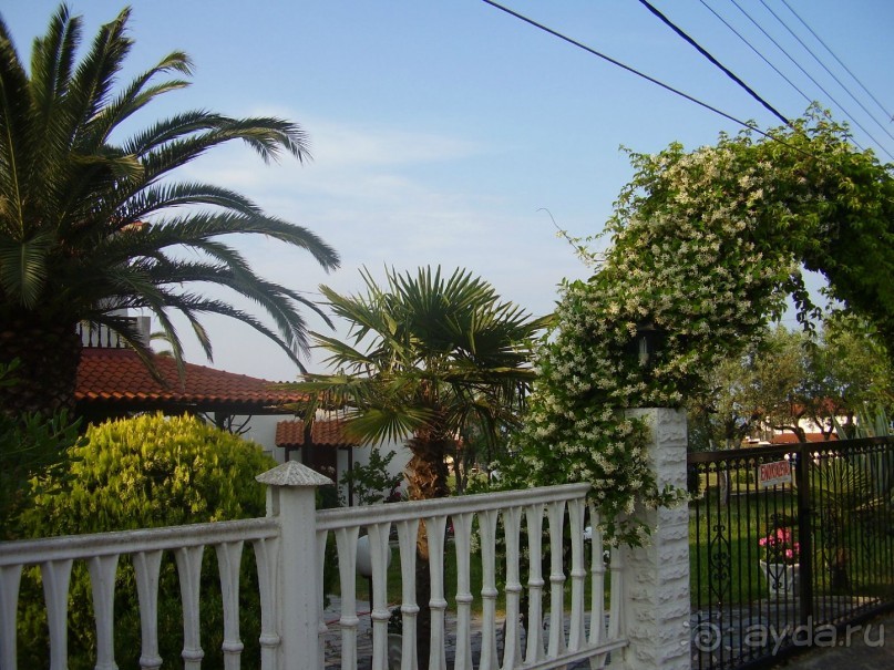 Paradise Bay Mediterraneo 3* хорошее место для уединенного отпуска от безумной Москвы