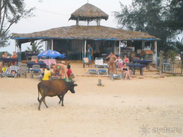 Кто привык к комфорту, вам не сюда!!