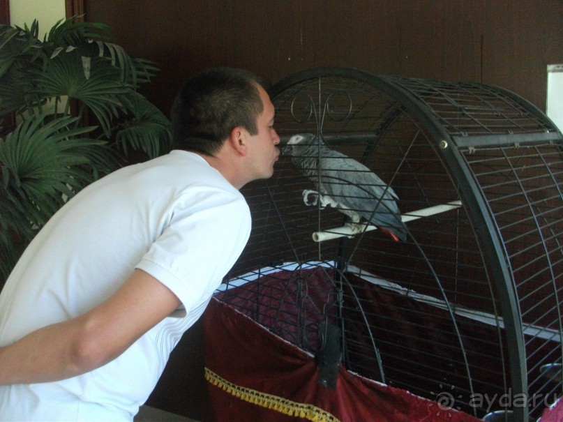 просто супер