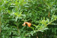 Впечатление хуже, чем в прошлом году.