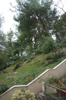 Впечатление хуже, чем в прошлом году.