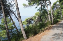 Впечатление хуже, чем в прошлом году.