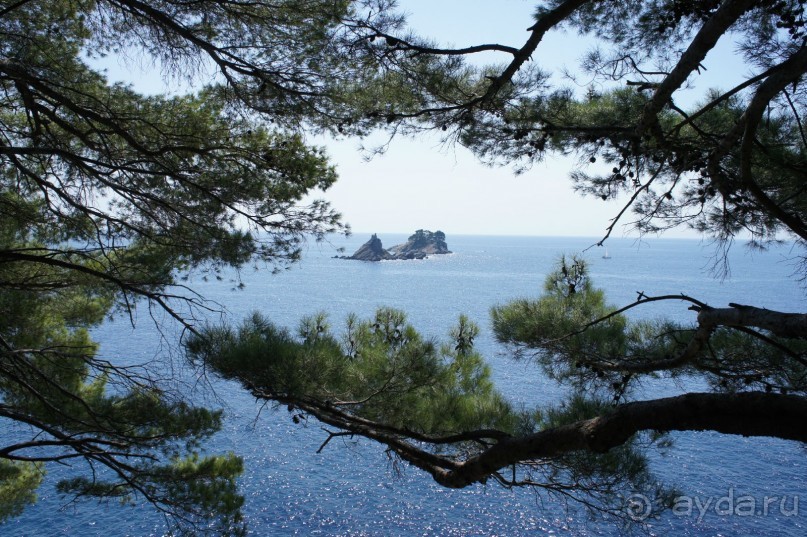 Впечатление хуже, чем в прошлом году.