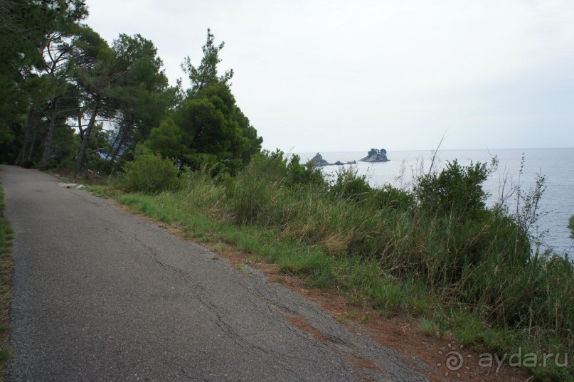 Впечатление хуже, чем в прошлом году.