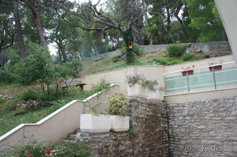 Впечатление хуже, чем в прошлом году.