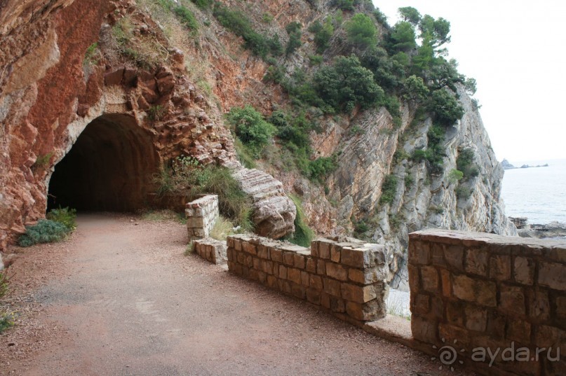 Впечатление хуже, чем в прошлом году.