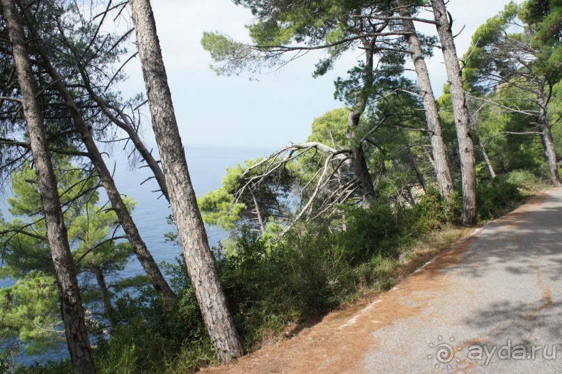 Впечатление хуже, чем в прошлом году.