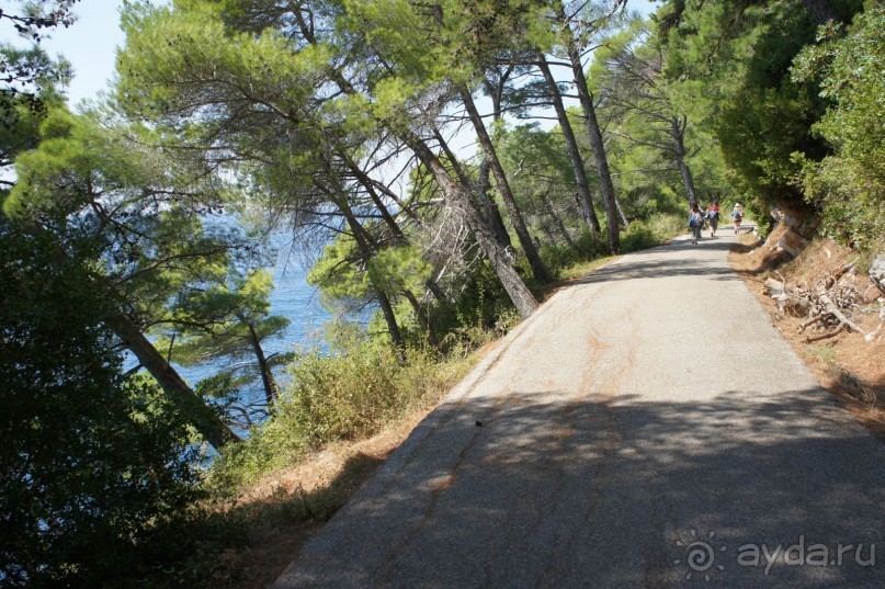 Впечатление хуже, чем в прошлом году.