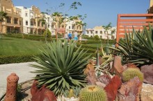 Нам понравилось!