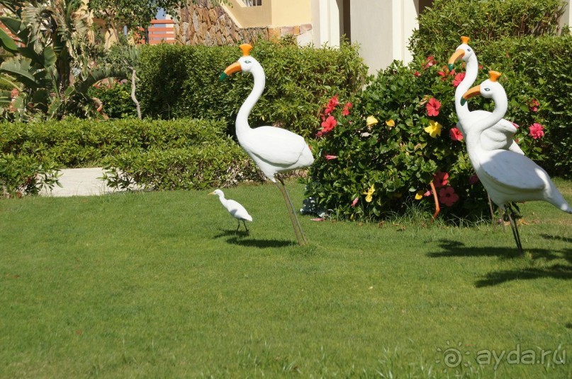 Нам понравилось!