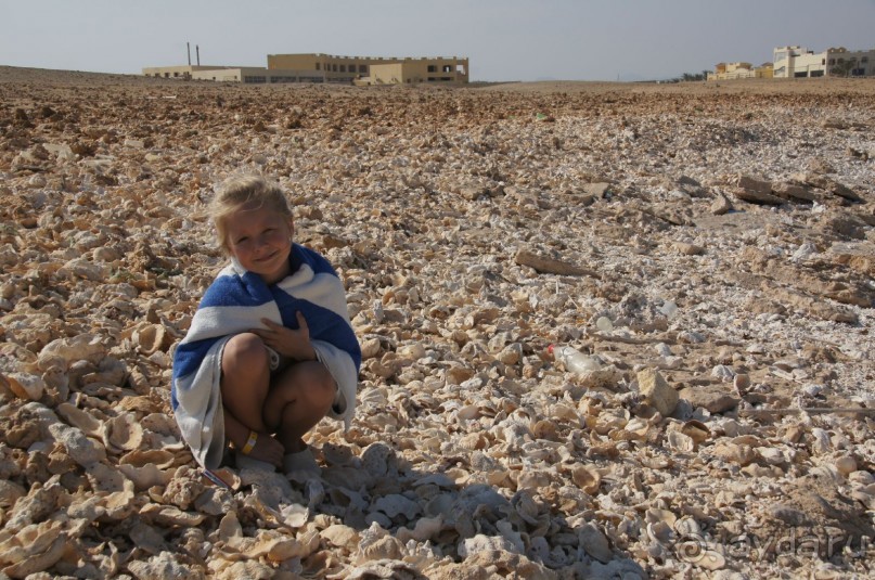 Нам понравилось!