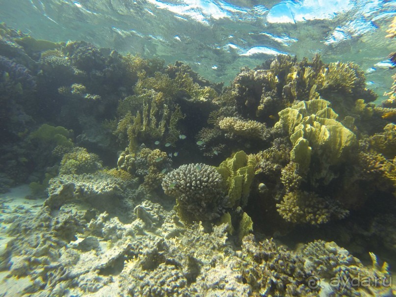 Нам понравилось!