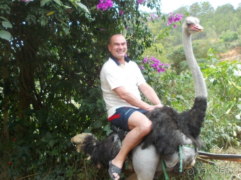 можно отдохнуть