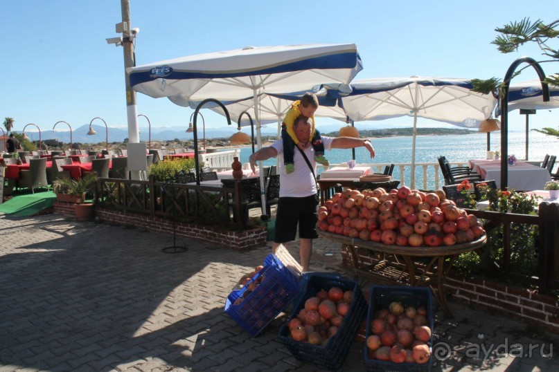 шикарный отель:))