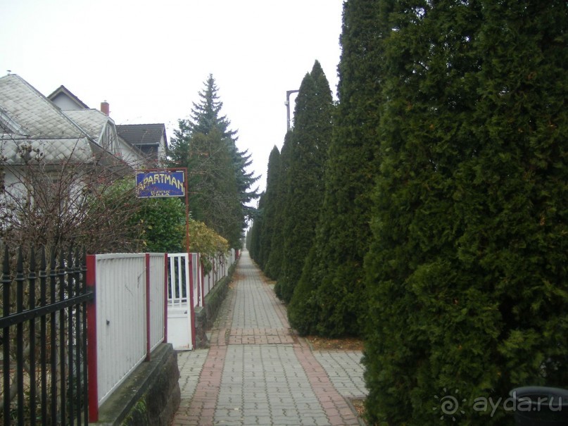 впечатления от отдыха