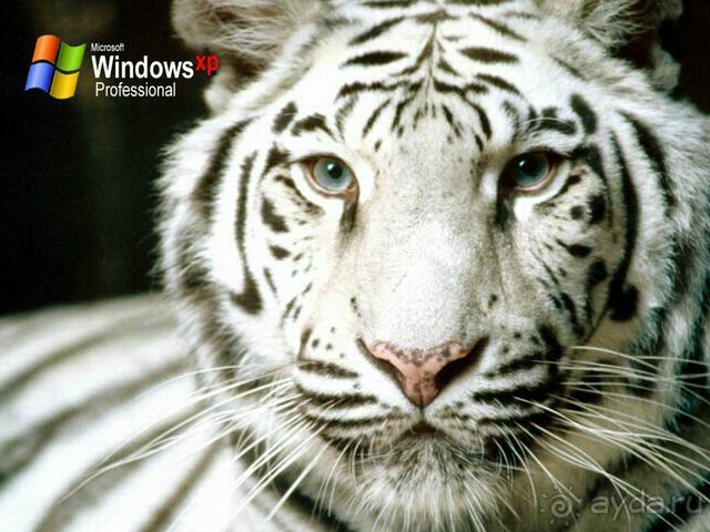 Отдых в Доме Павловых