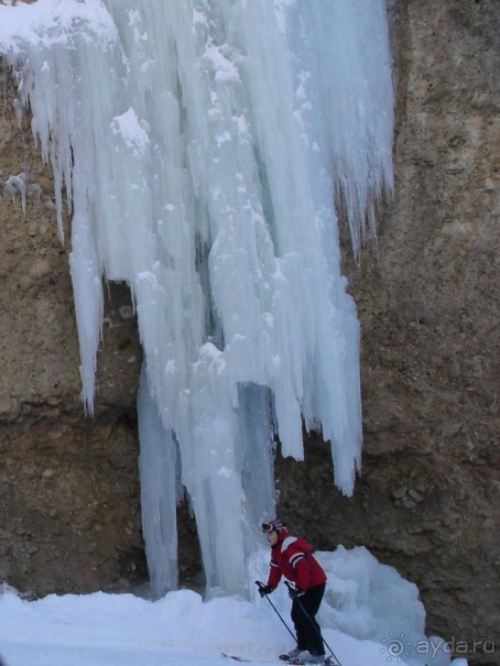 Альбом отзыва "Селла Ронда"